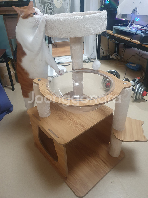 고양이 우드 스크래처 미니 캣폴 캣타워 팝니다.--0