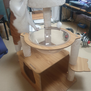 고양이 우드 스크래처 미니 캣폴 캣타워 팝니다.