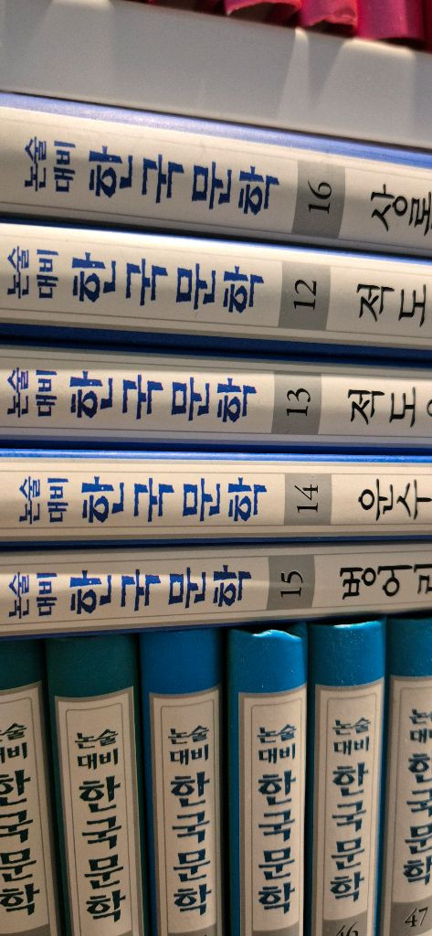 명문대에 들어갈수있는 논술대비한국문학 80권 최상--1