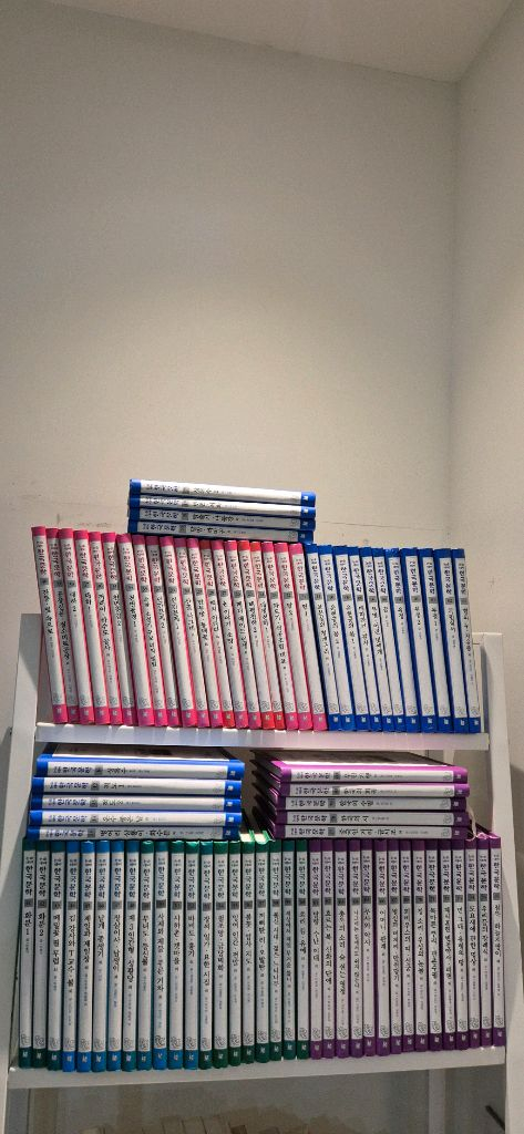 명문대에 들어갈수있는 논술대비한국문학 80권 최상--2