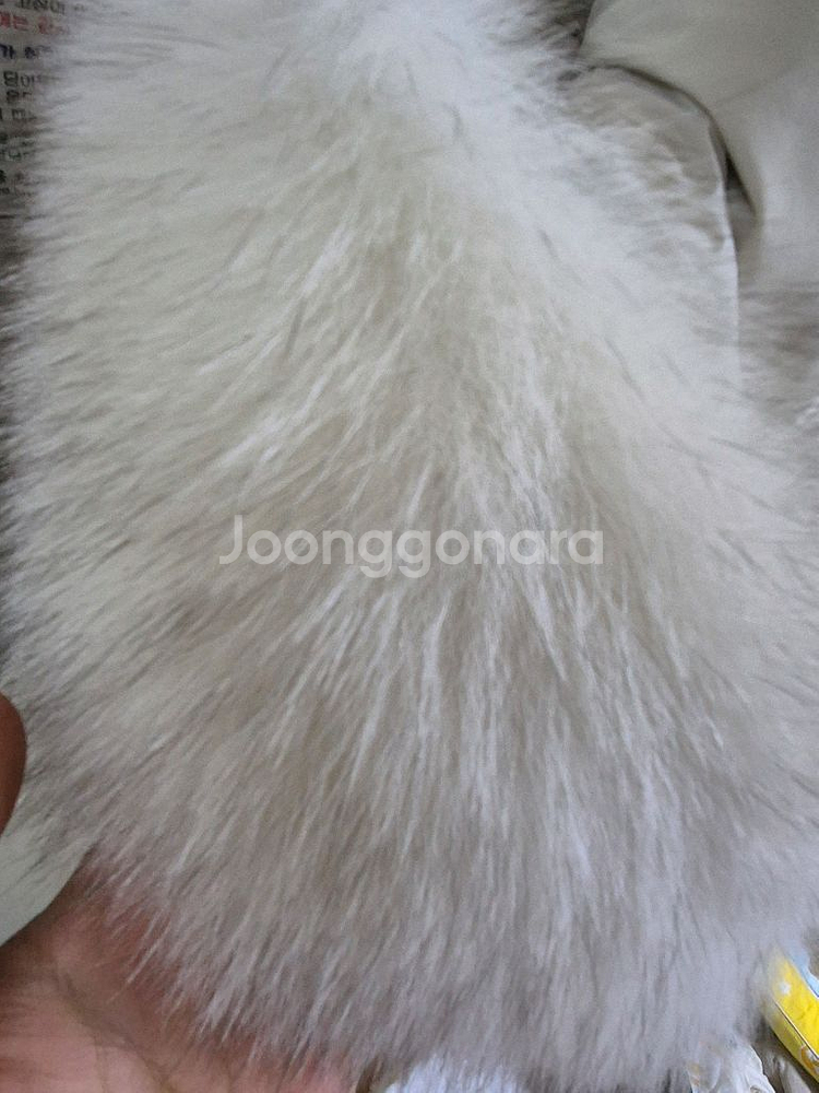 코오롱 폭스퍼 구스패딩 새거급 95M 롱패딩--3