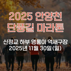 2025 안양천 단풍길 마라톤 양도 11/30(일) 10km 티켓 2개 이미지