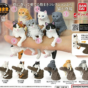 미개봉) 고양이 반지 피규어 가챠 스코티쉬폴드 삼색 일본 집사 장난감 오드아이 캡슐토이 미니어처
