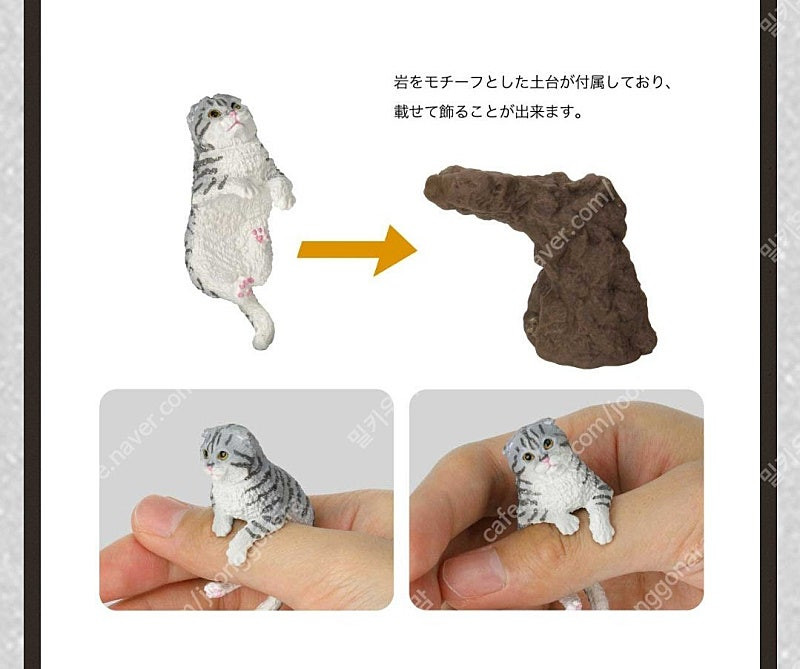 미개봉) 고양이 반지 피규어 가챠 스코티쉬폴드 삼색 일본 집사 장난감 오드아이 캡슐토이 미니어처--2