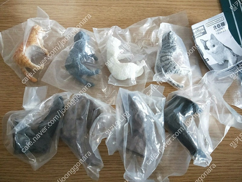 미개봉) 고양이 반지 피규어 가챠 스코티쉬폴드 삼색 일본 집사 장난감 오드아이 캡슐토이 미니어처--6