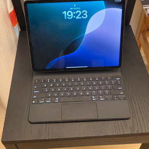 아이패드 프로 12.9 5세대 M1 스페이스 그레이 셀룰러 512g