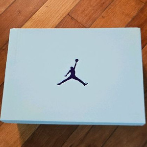 나이키 조던 여성 농구화