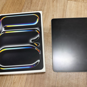 아이패드 프로 13인치 M4 셀룰러 실버 256GB 팝니다