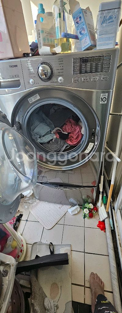 f21vdw lg 21k 트롬 세탁기--3