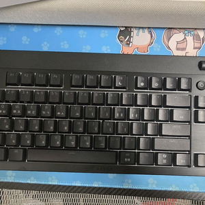 레이저 블랙widow V4 TKL 기계식 키보드