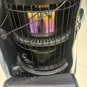 파세코 캠프10 선셋