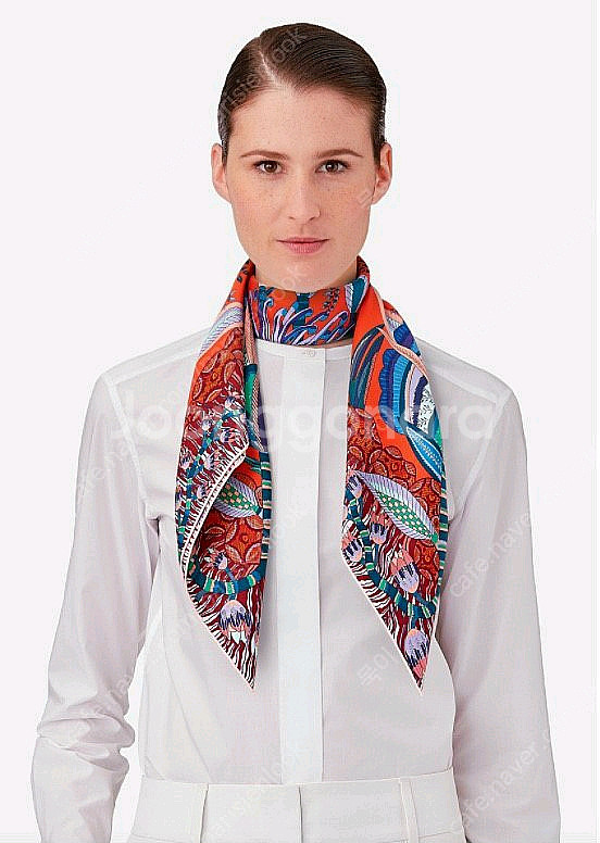 에르메스 Africa 까레--4