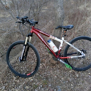 록키마운틴자전거