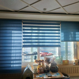 블루 거실 고급 블라인드