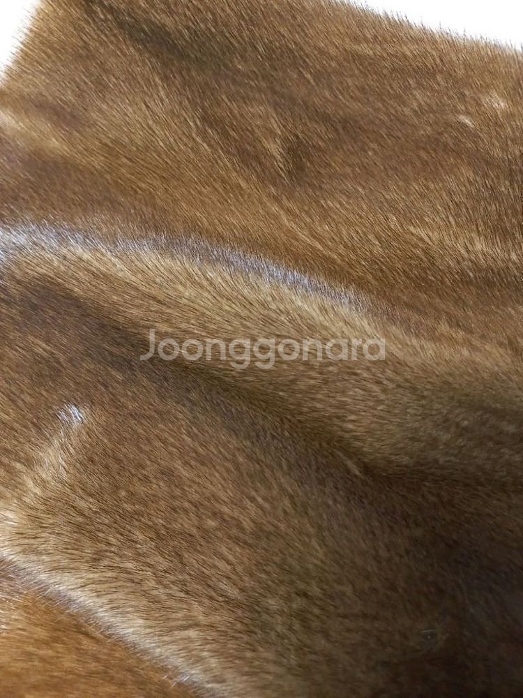 시모네타라비짜 롱밍크--3