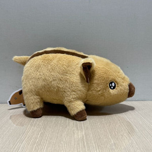 초롱초롱 멧돼지 인형 이미지