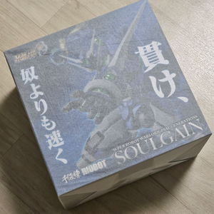 센티넬 소울게인