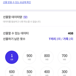 skt 데이터 2기가