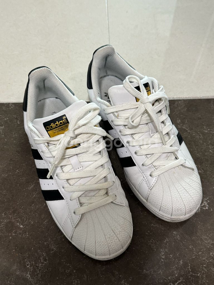 아디다스 슈퍼스타 255--0