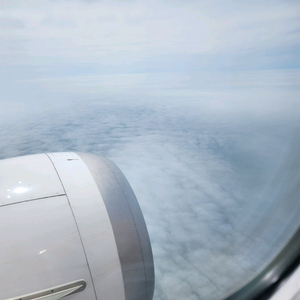 알로항머니 삽니다!!