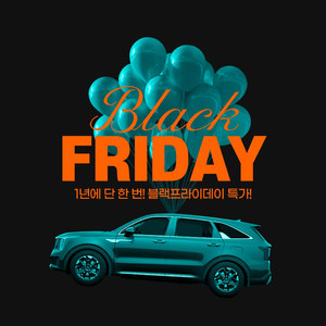 차량 블랙프라이데이 특가