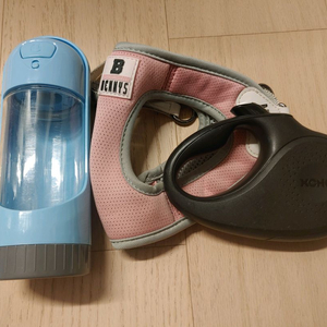 강아지 목줄. 물통