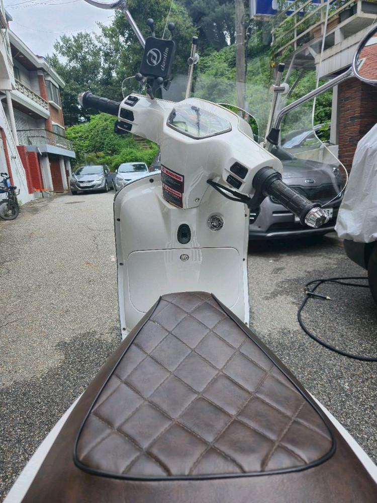 야르스 럭셔리 화이트--2