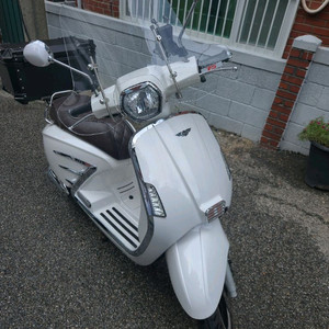 야르스 럭셔리 화이트