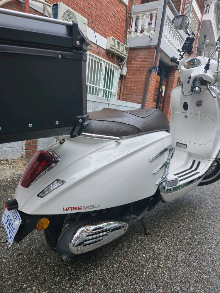 야르스 럭셔리 화이트--7