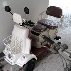 전동스쿠터(네발전동차) 금액인하!