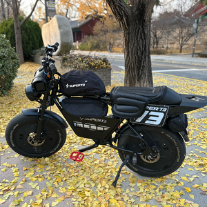 슈퍼73 전기자전거