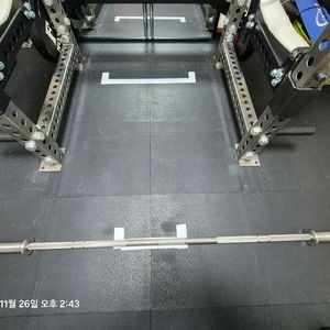 와일든 스텐바벨 2000