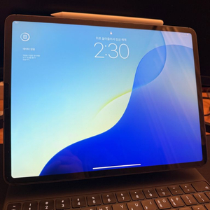 아이패드 프로 12.9 M1 1TB 셀룰러 4세대