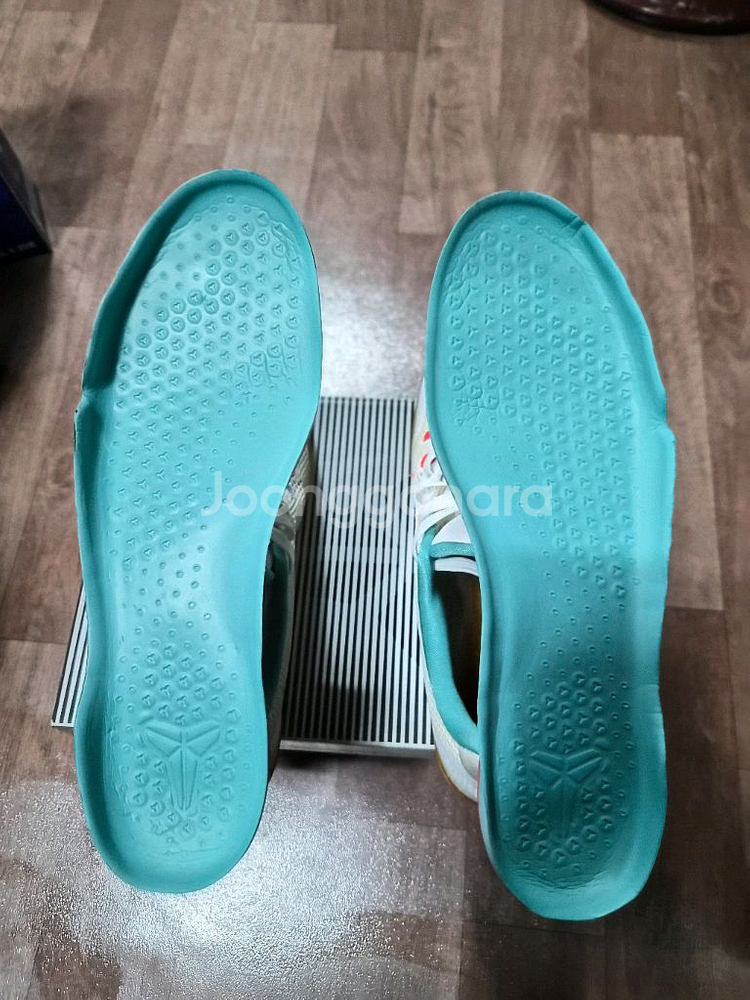 코비11 썸머팩--7