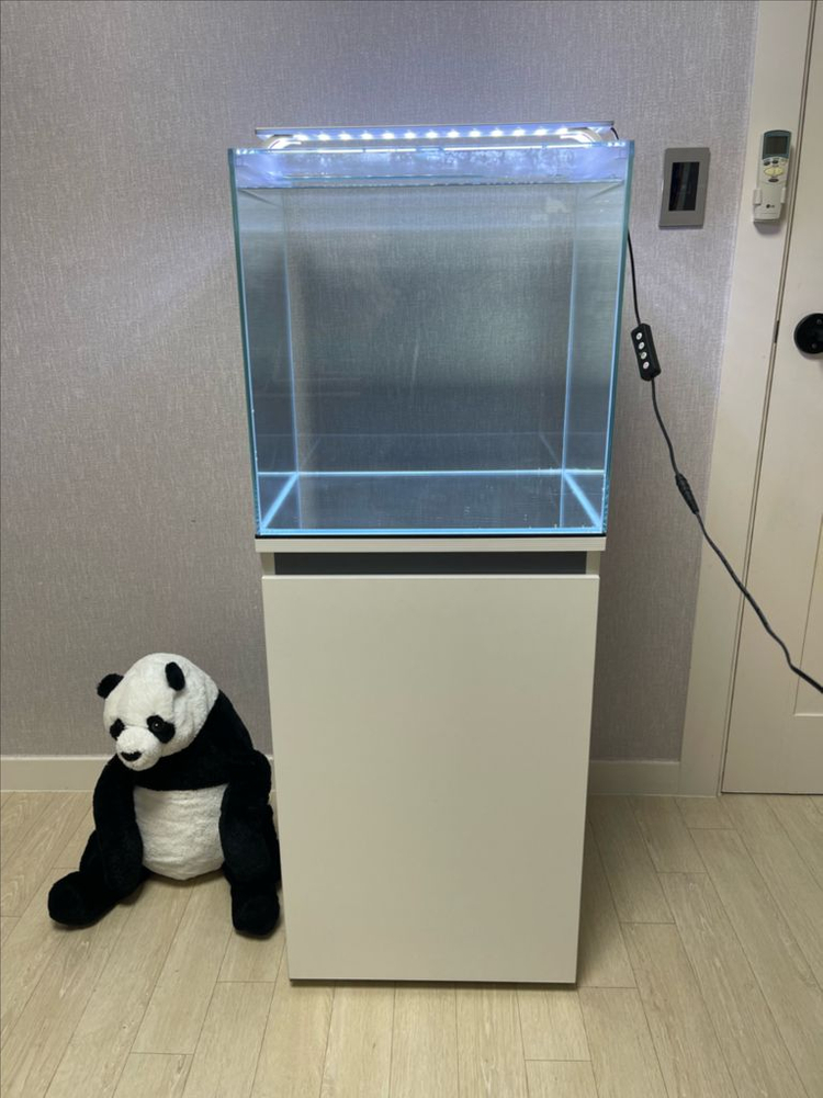 (경기 북부) 45큐브 올디아망 수조 6T 축양장 어항 세트 상태 S급 판매 (개별 가능)--1