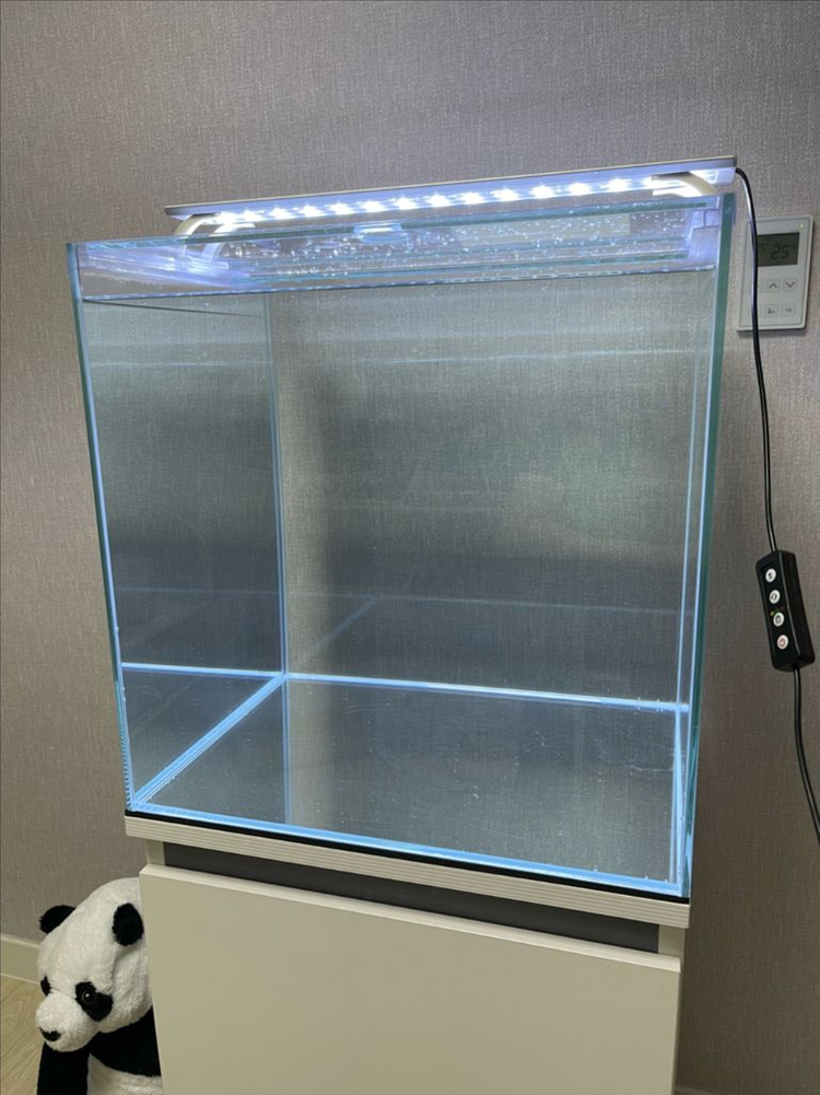 (경기 북부) 45큐브 올디아망 수조 6T 축양장 어항 세트 상태 S급 판매 (개별 가능)--3