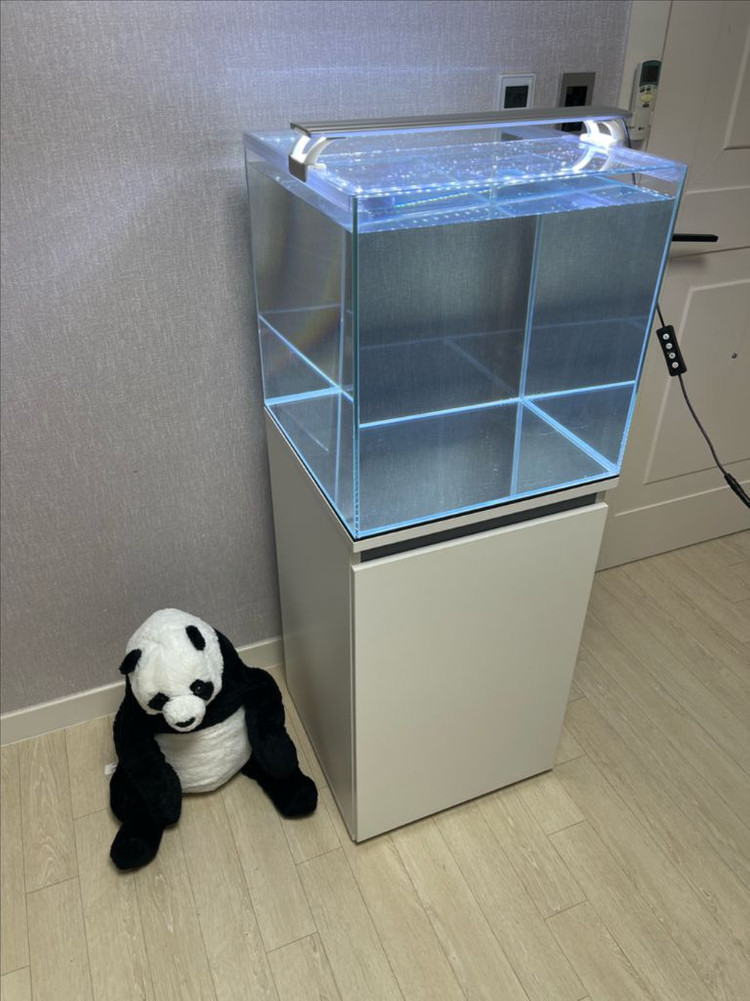 (경기 북부) 45큐브 올디아망 수조 6T 축양장 어항 세트 상태 S급 판매 (개별 가능)--9