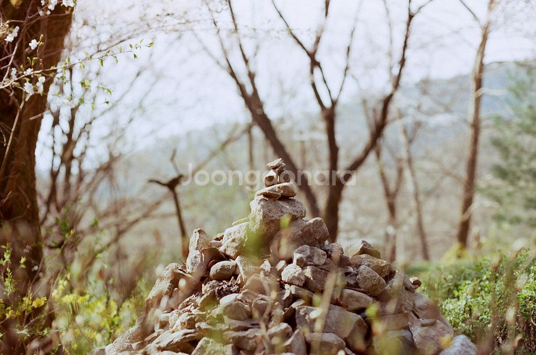 캐논 AE-1 필름카메라--7