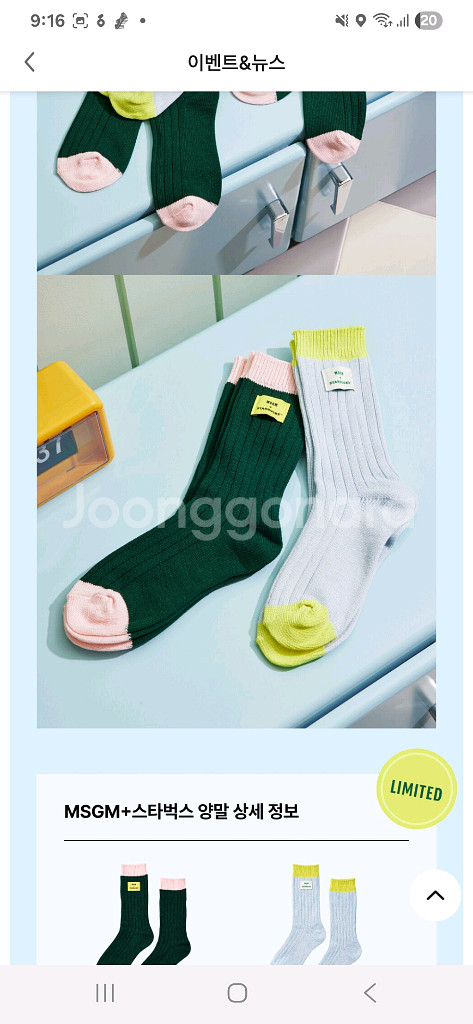 MSGM x 스타벅스 양말 (그린, 블루)--0