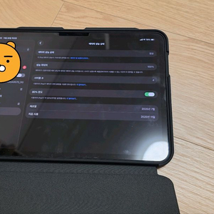 아이패드 프로 m5 11 256 셀룰러