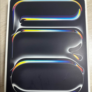 아이패드 프로 13인치 M5 256GB 셀룰러