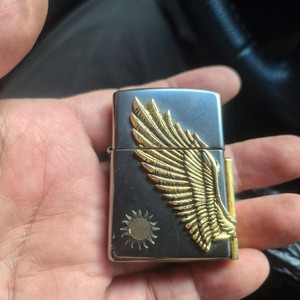 빈센조 지포라이타 이미지