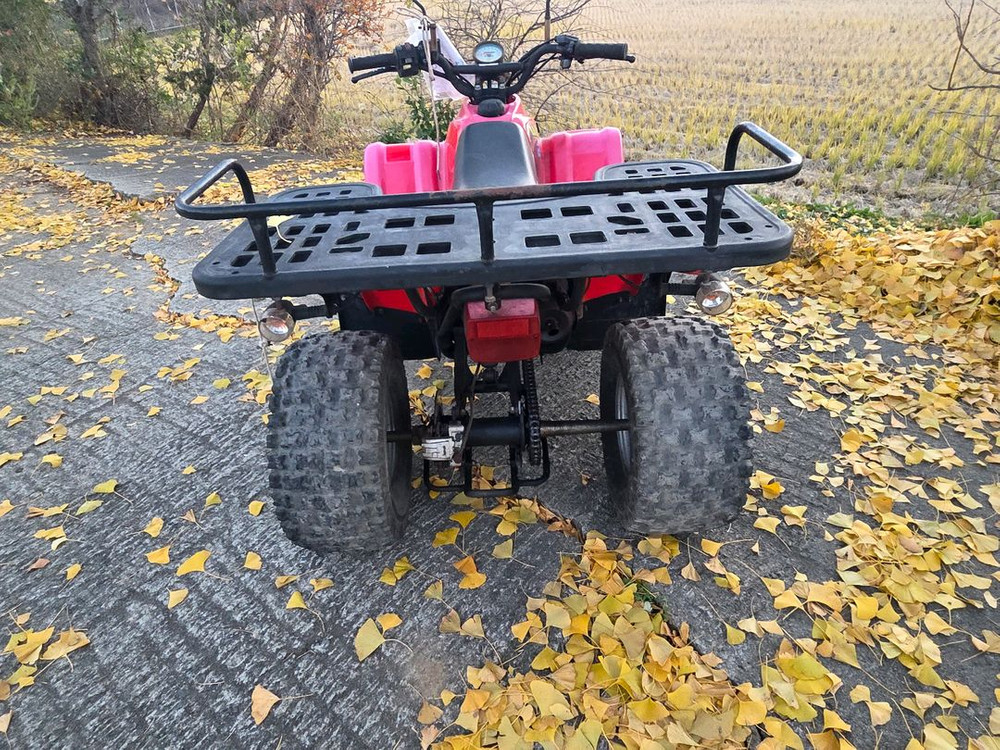 사륜 오토바이--2