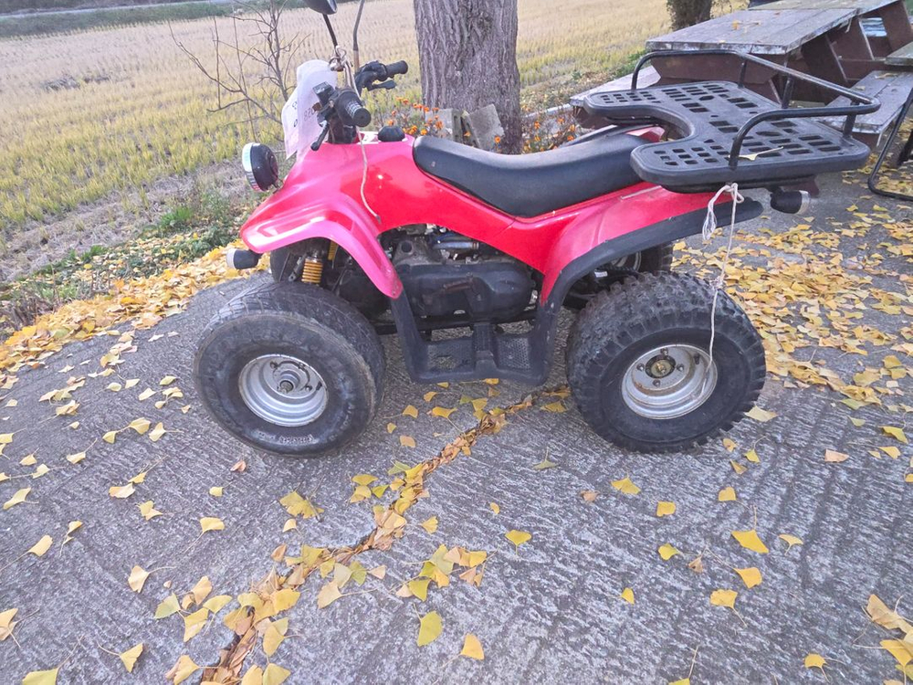 사륜 오토바이--4