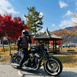 할리데이비슨 포티에잇 11년식 급매합니다