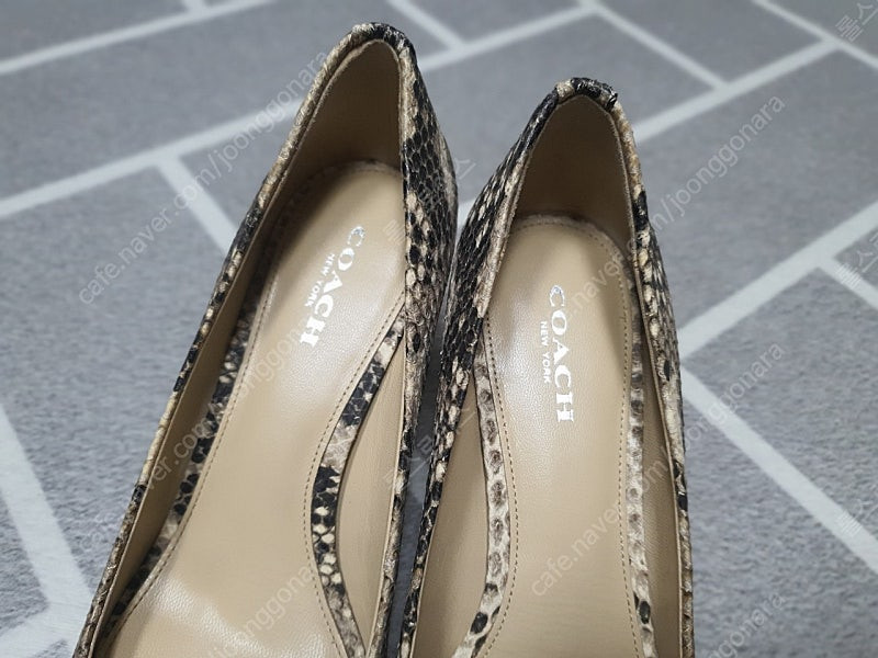 코치COACH 스네이크 구두 이미지