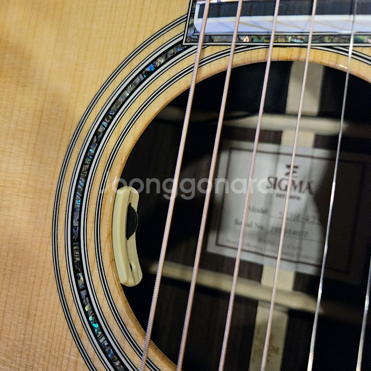 시그마 SDR 42s + 앤썸sl 픽업 장착된 기타--6