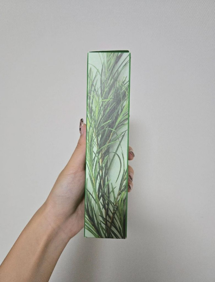 파파레시피 티트리 컨트롤 클렌징 폼 120ml--1