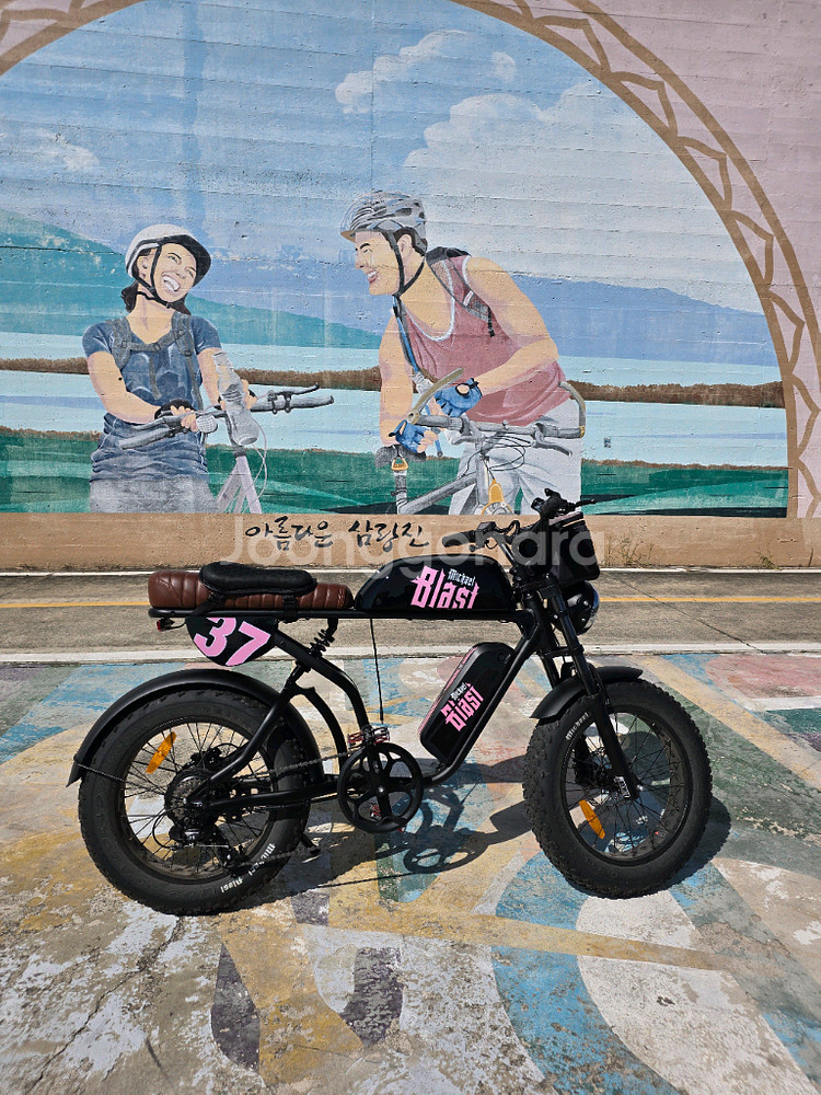 마이클 블라스트 E30 전기 자전거 판매합니다--0