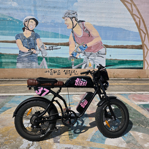 마이클 블라스트 E30 전기 자전거 판매합니다